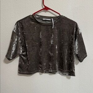 Urban Outfitters Velvet Short Sleeve Crop Tee